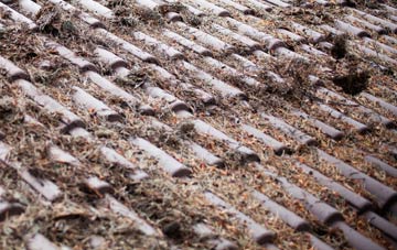 Milton Hill roof cleaning companies